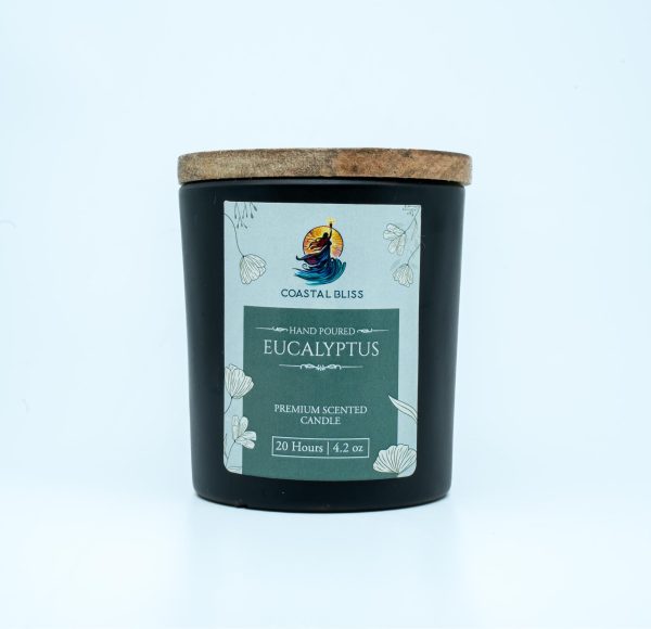 Eco-Friendly Premium Scented Jar Candle – 120g (20-Hour Burn, Soy-Coconut Wax, Frost Jar with Lid) - Image 20